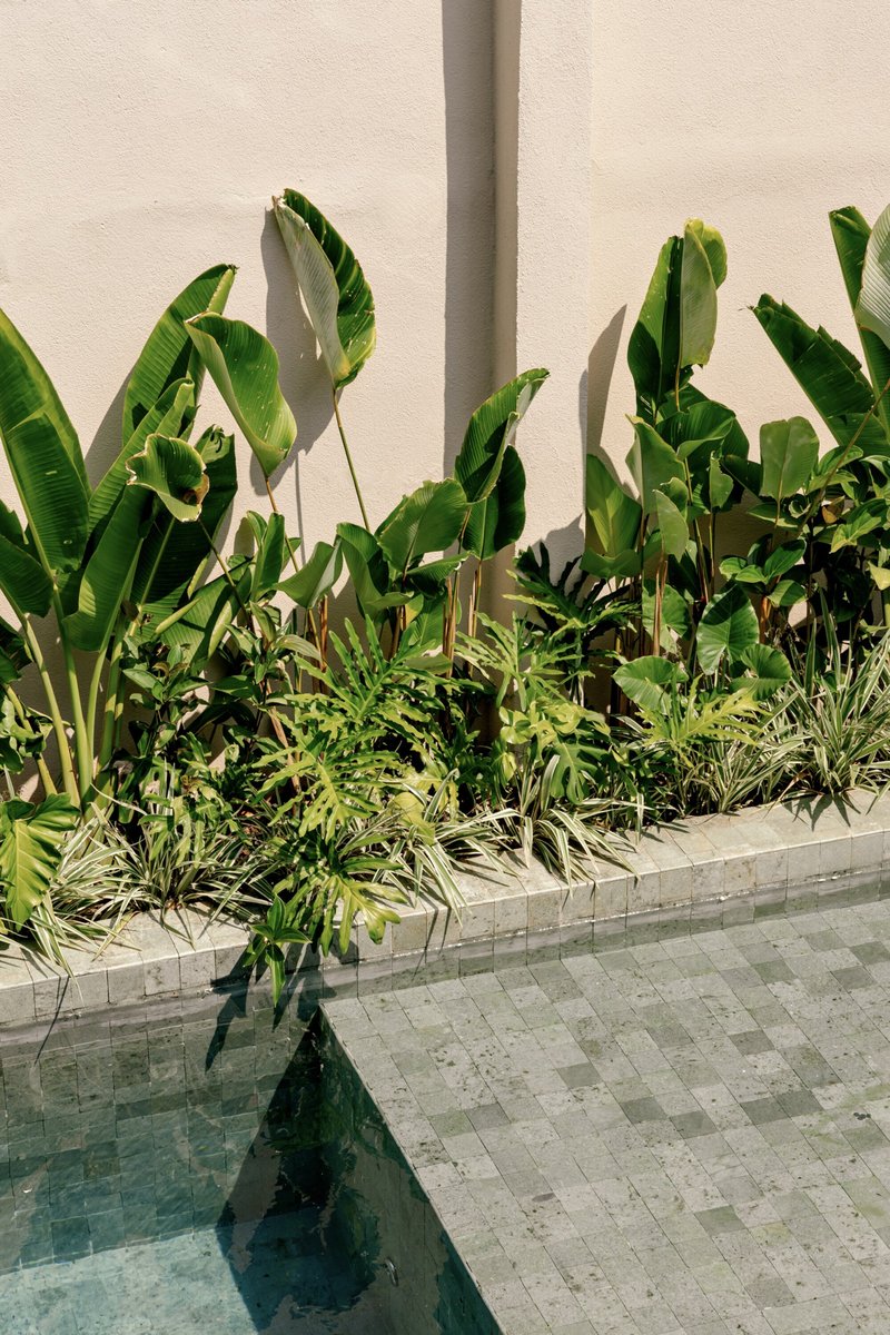 Casa Alto de Pinheiros / Terra Arquitetura - Imagem 21 de 33