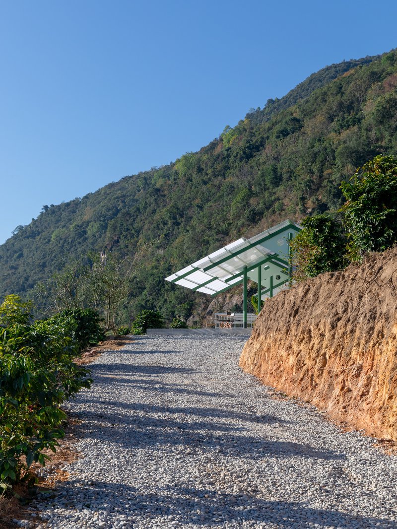 Terraweave Estate (Tiantian) Coffee Drying Yard / Edge Architects - Image 11 of 28