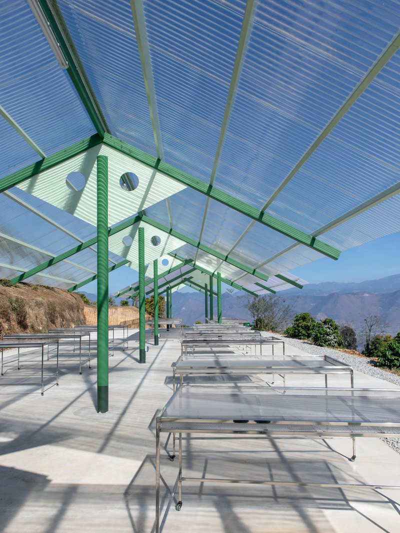 Terraweave Estate (Tiantian) Coffee Drying Yard / Edge Architects - Image 19 of 28