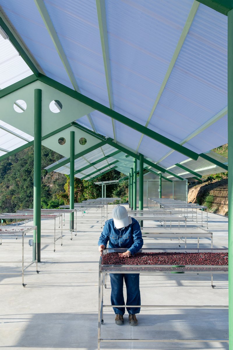 Terraweave Estate (Tiantian) Coffee Drying Yard / Edge Architects - Exterior Photography, Beam