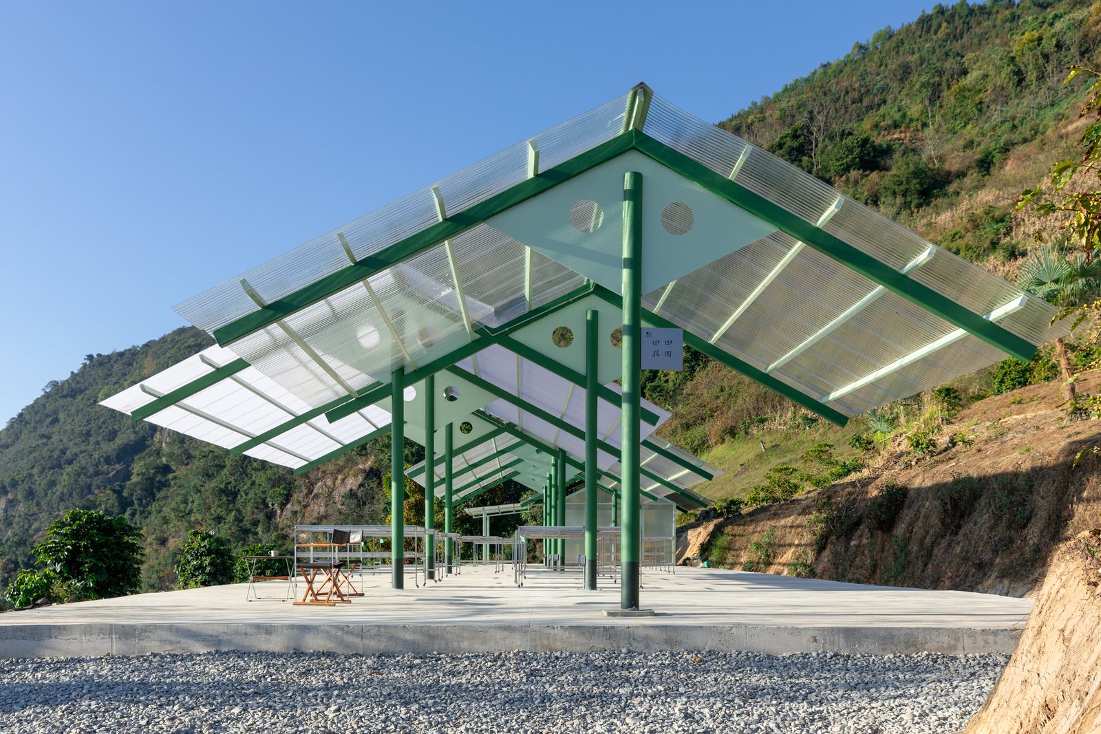 O Abraço do Sol nas Encostas de Gaoligong