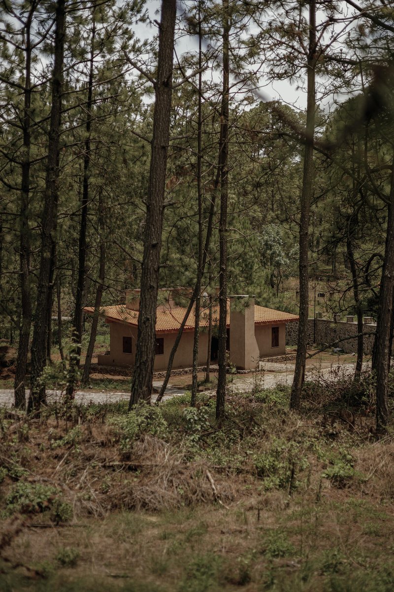 Cabana do Vigia / Eduardo Garretti studio - Fotografia de Exterior, Madeira, Floresta